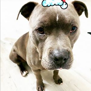 Meet your Posher, Cristina